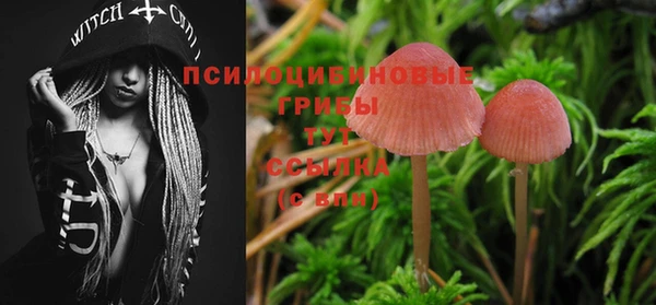 ALPHA PVP Бородино
