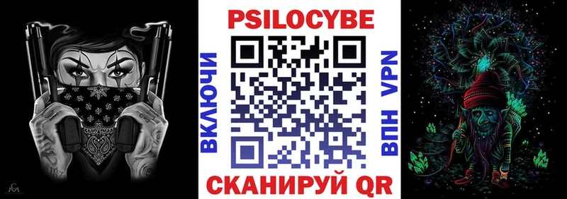 где купить наркоту  Каменногорск  Галлюциногенные грибы ЛСД 